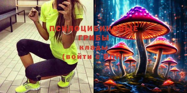 бутират Алексеевка